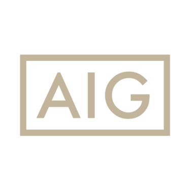 Spandrel Development Partners: AIG